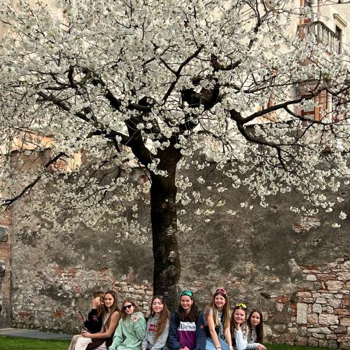 Trento_4b_2324