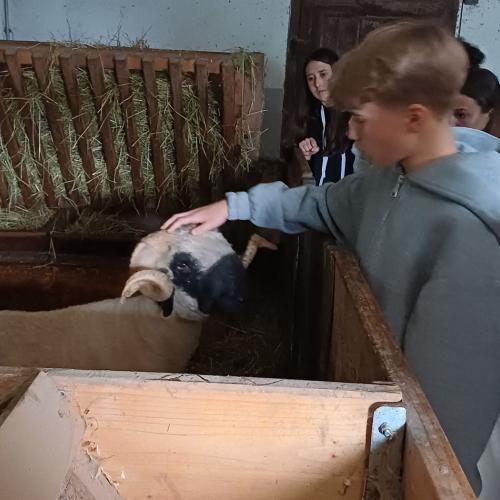 Abenteuer Bauernhof