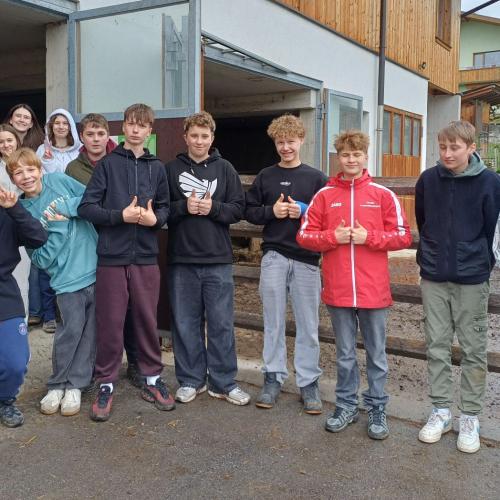 Abenteuer Bauernhof