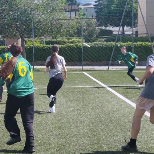 Ultimate Frisbee Turnier 2
