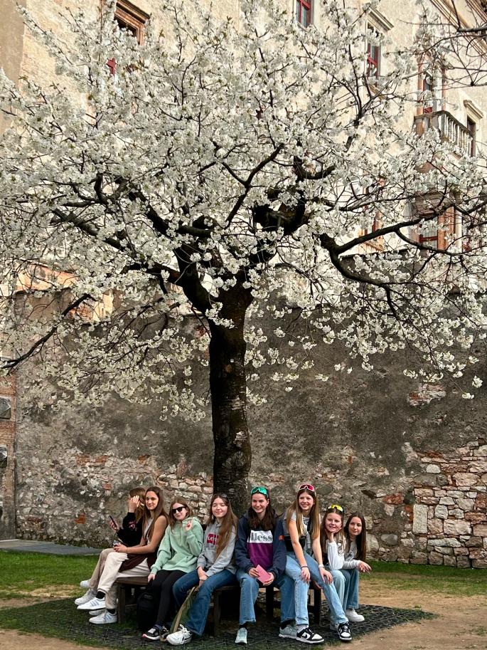 Trento_4b_2324